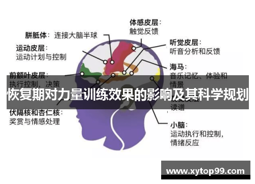 恢复期对力量训练效果的影响及其科学规划