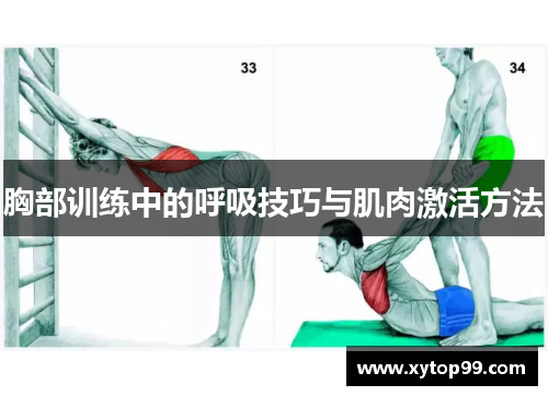 胸部训练中的呼吸技巧与肌肉激活方法
